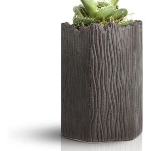 Mozing Retro Succulent Planter Ceramic Flower Pot for Indoor Outdoor 6x8